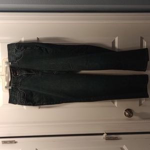 Lane Bryant Tighter Tummy Technology Jeans